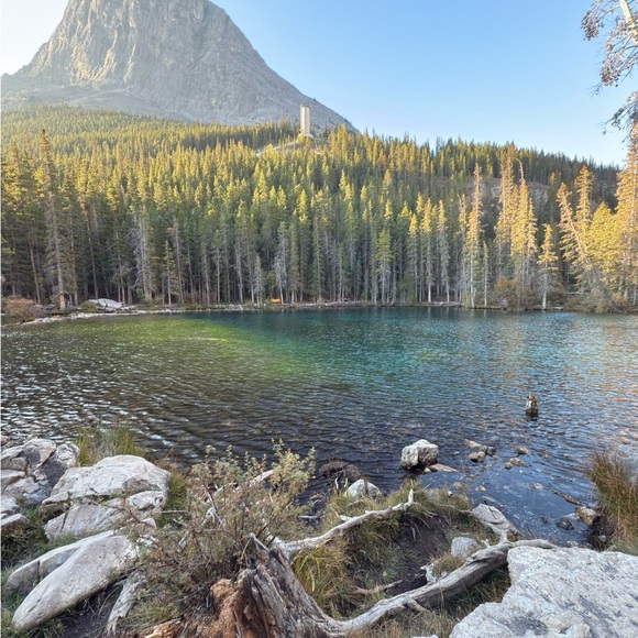 Meet your Posher, Nabila - Picture 1 of 1